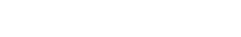 VIKA EXECUTIVE Premium Chauffeur Service